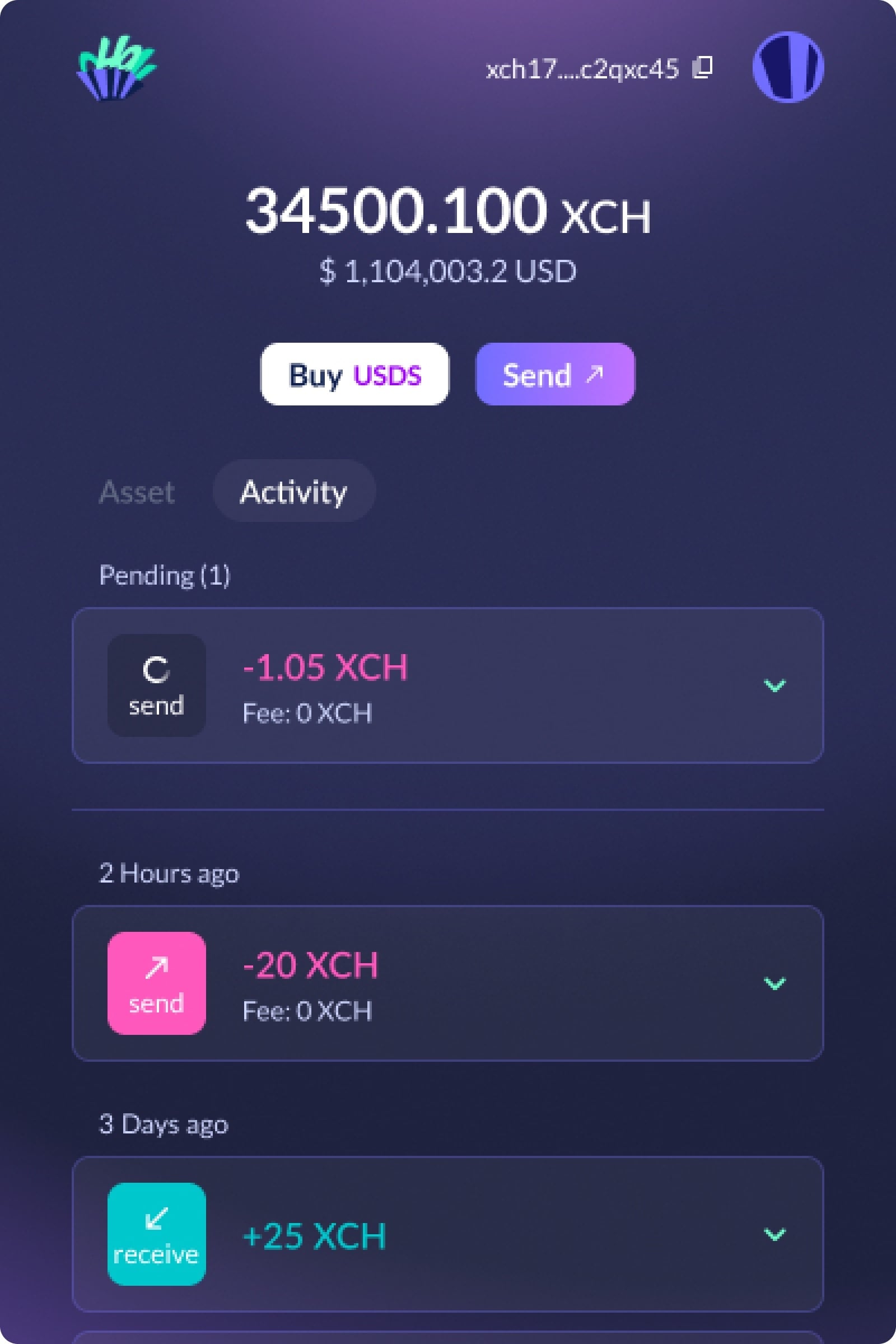 Hoogii Wallet activity tab with pending and past transactions